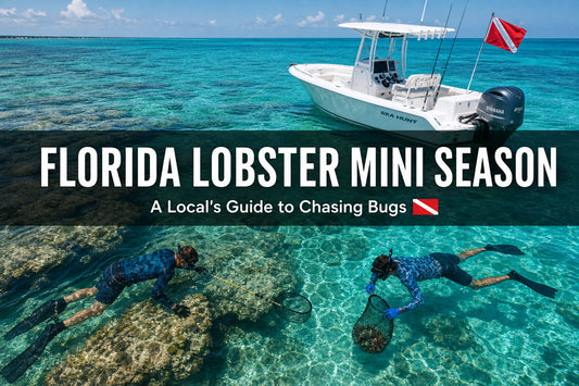 Florida Lobster Mini Season 2026: A Local's Guide to Chasing Bugs